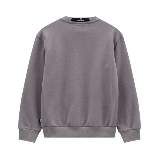 Felpa collogiro grigia